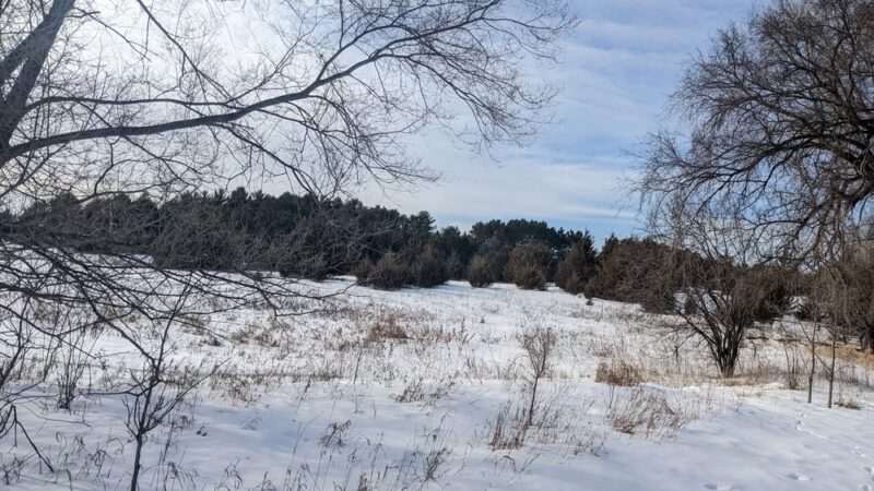 Shady Knoll Park - Andover, MN