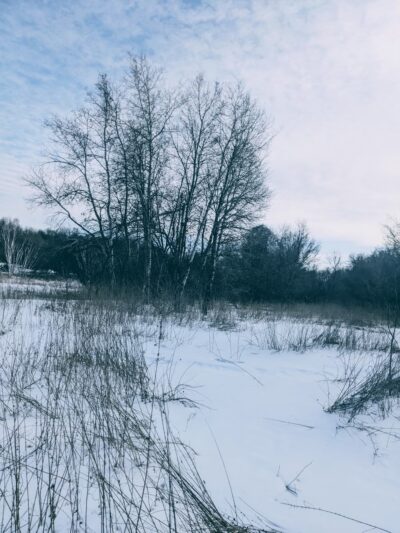 Shady Knoll Park - Andover, MN