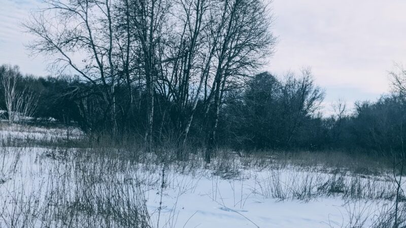 Shady Knoll Park - Andover, MN