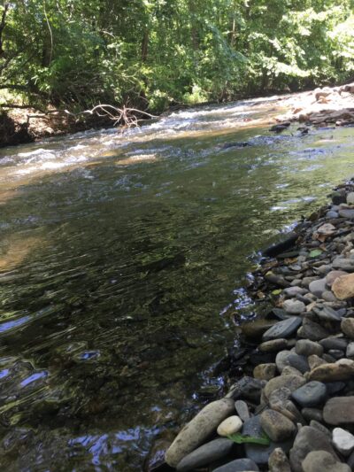 Judy Nichols Recreational Park - Andrews, NC