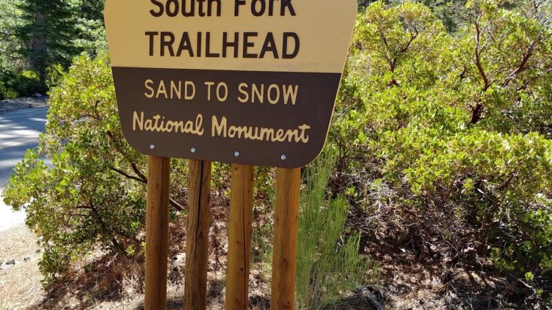 South Fork Trail 1E04 - Angelus Oaks, CA