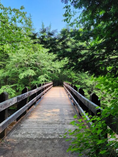 Dells of the Eau Claire County Park - Aniwa, WI