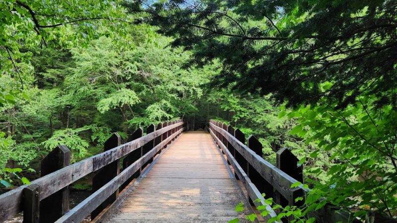 Dells of the Eau Claire County Park - Aniwa, WI