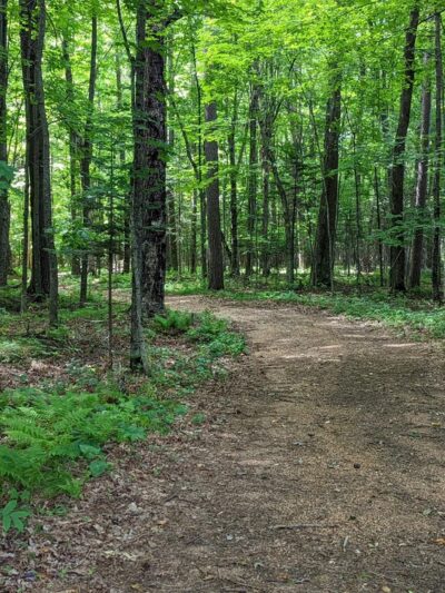 Dells of the Eau Claire County Park - Aniwa, WI