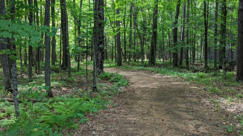 Dells of the Eau Claire County Park - Aniwa, WI