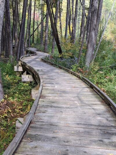 Ice Age Trail - Plover River Segment - Aniwa, WI