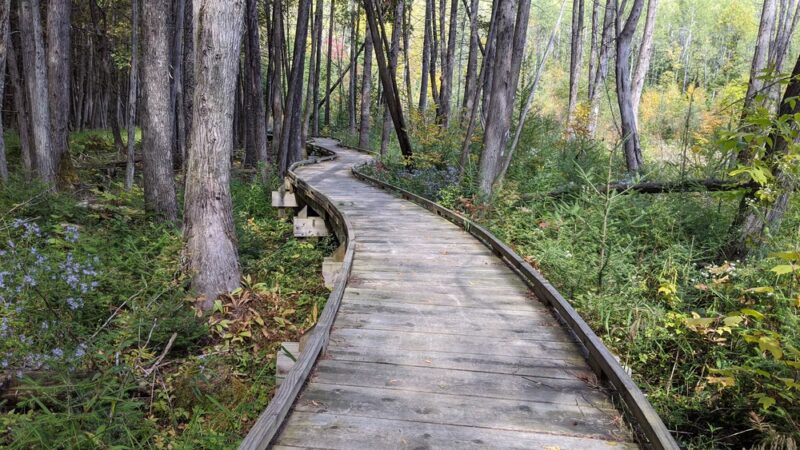 Ice Age Trail - Plover River Segment - Aniwa, WI