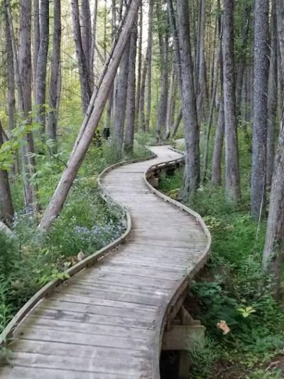 Ice Age Trail - Plover River Segment - Aniwa, WI