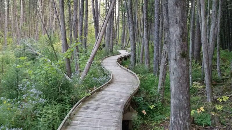 Ice Age Trail - Plover River Segment - Aniwa, WI