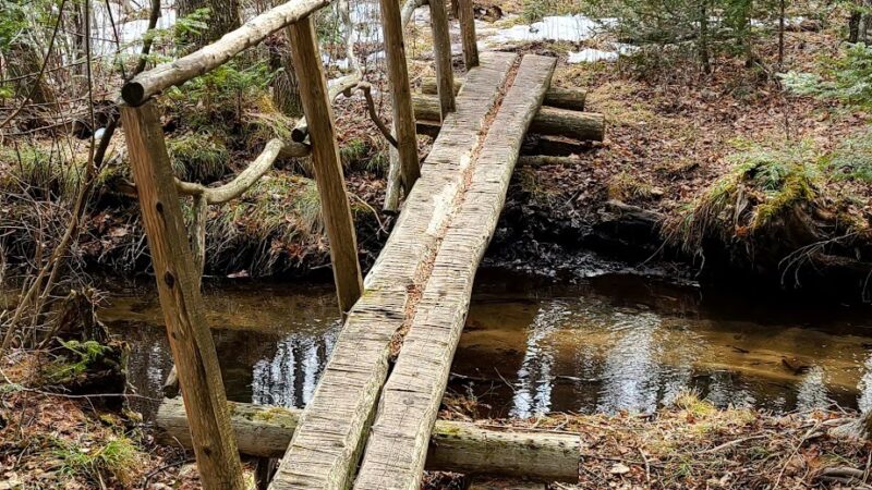 Ice Age Trail - Plover River Segment - Aniwa, WI
