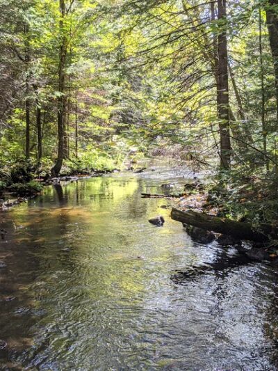 Ice Age Trail - Plover River Segment - Aniwa, WI