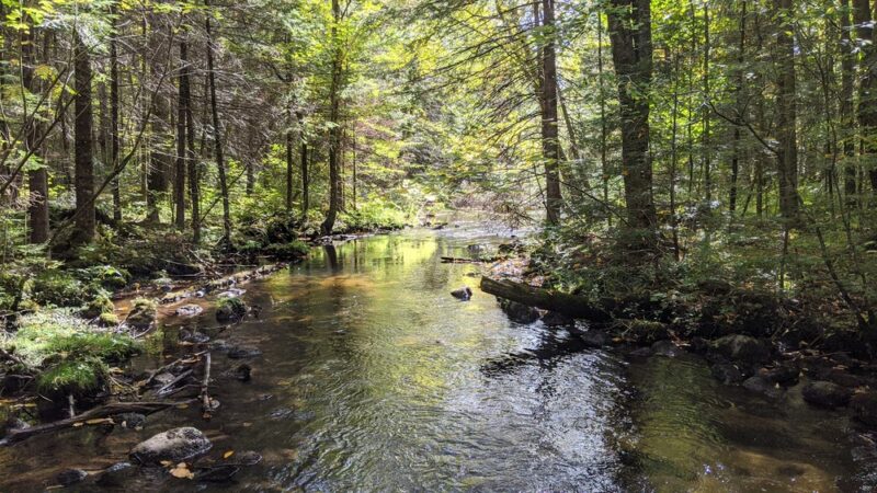 Ice Age Trail - Plover River Segment - Aniwa, WI