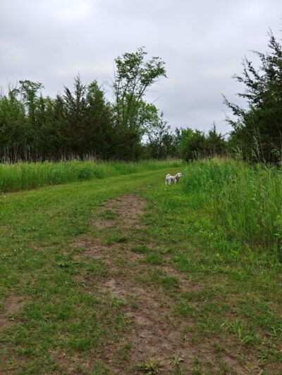 Clearwater-Pleasant Lakes Park - Annandale, MN