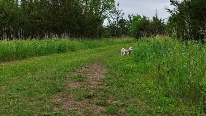 Clearwater-Pleasant Lakes Park - Annandale, MN