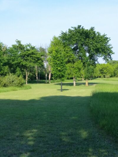 Clearwater-Pleasant Lakes Park - Annandale, MN