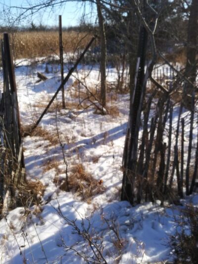 Clearwater-Pleasant Lakes Park - Annandale, MN