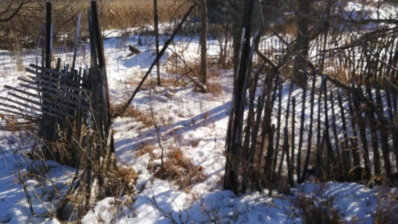 Clearwater-Pleasant Lakes Park - Annandale, MN