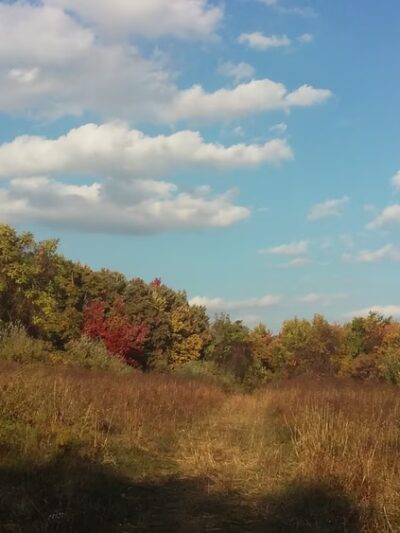Foran Fields - Annandale, NJ