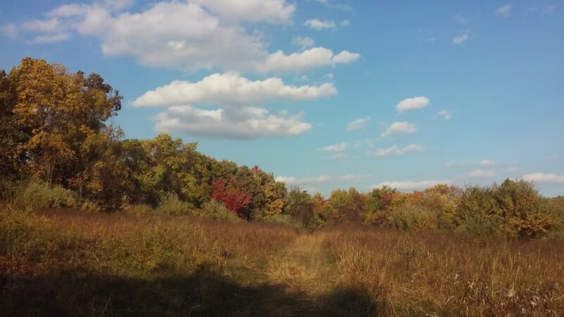 Foran Fields - Annandale, NJ