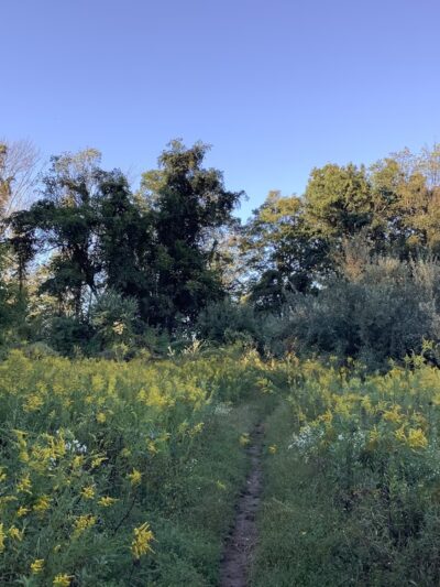 Foran Fields - Annandale, NJ