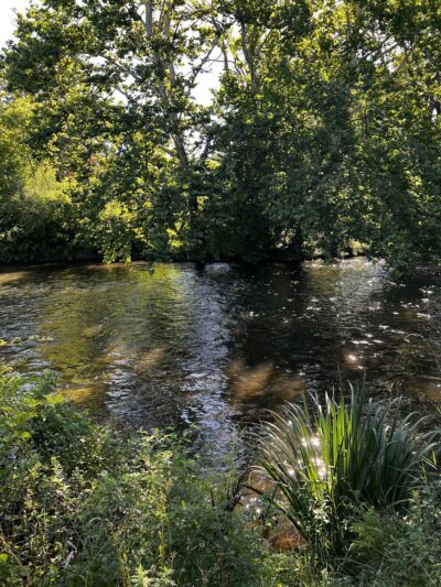 Landsdown Meadow and Trail - Annandale, NJ