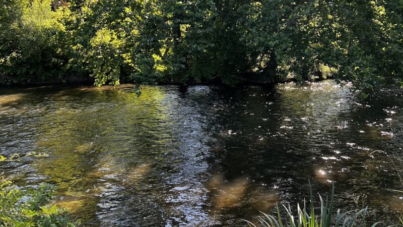 Landsdown Meadow and Trail - Annandale, NJ