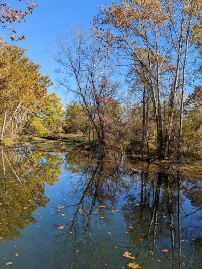 Landsdown Meadow and Trail - Annandale, NJ