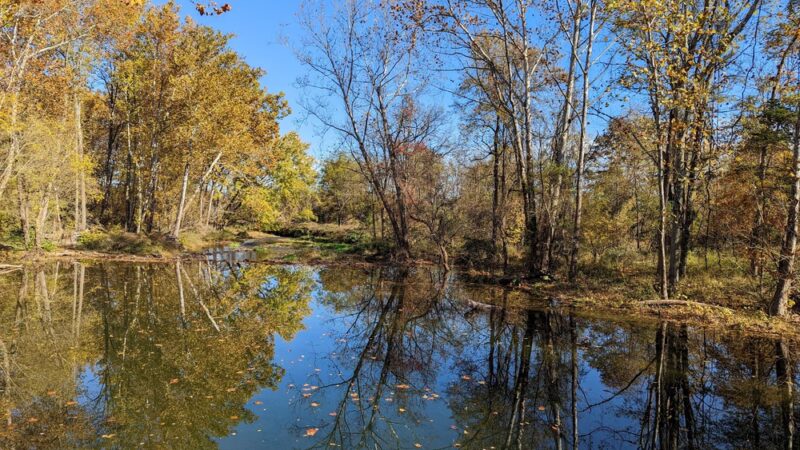 Landsdown Meadow and Trail - Annandale, NJ