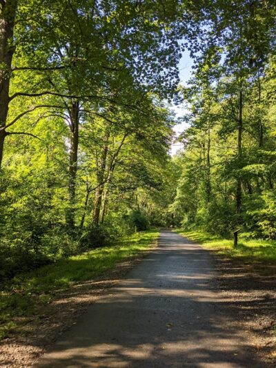 Wakefield Park - Annandale, VA