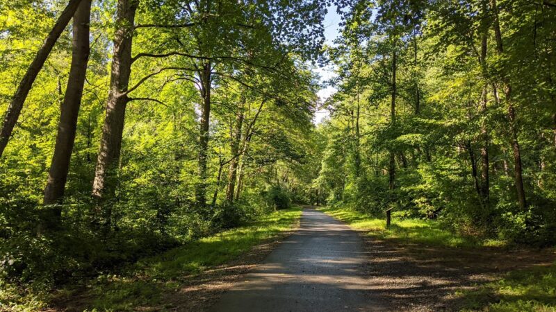 Wakefield Park - Annandale, VA