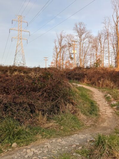 Wakefield Park - Annandale, VA