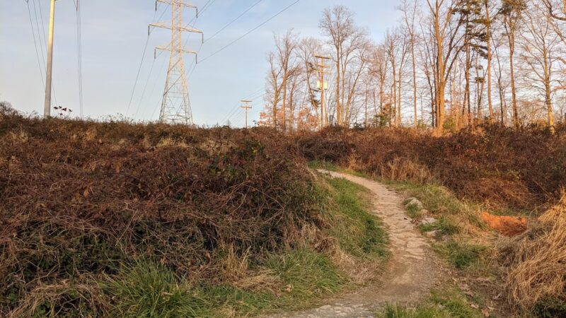 Wakefield Park - Annandale, VA