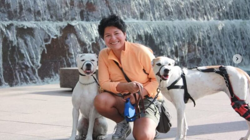 All My Canine Companions - Annapolis, MD