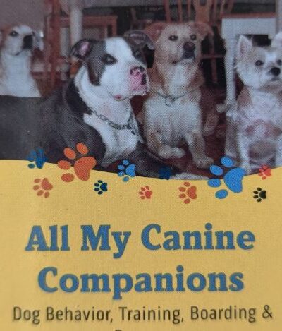 All My Canine Companions - Annapolis, MD
