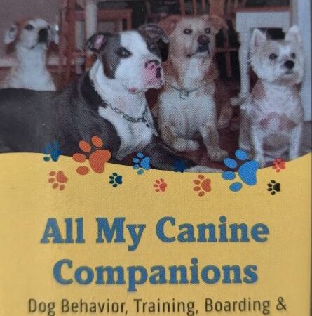 All My Canine Companions - Annapolis, MD
