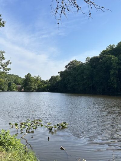 Annapolis Waterworks Park - Annapolis, MD