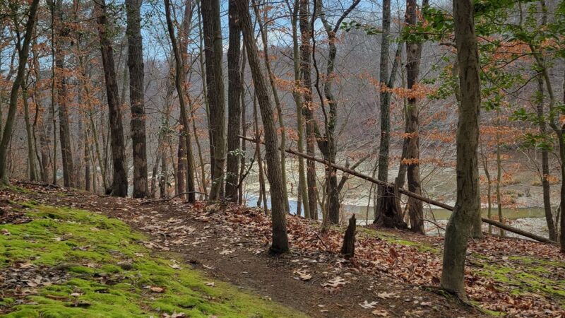 Annapolis Waterworks Park - Annapolis, MD