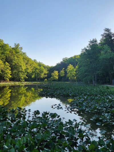 Annapolis Waterworks Park - Annapolis, MD