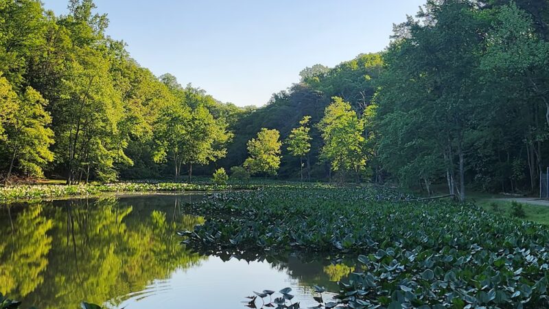 Annapolis Waterworks Park - Annapolis, MD