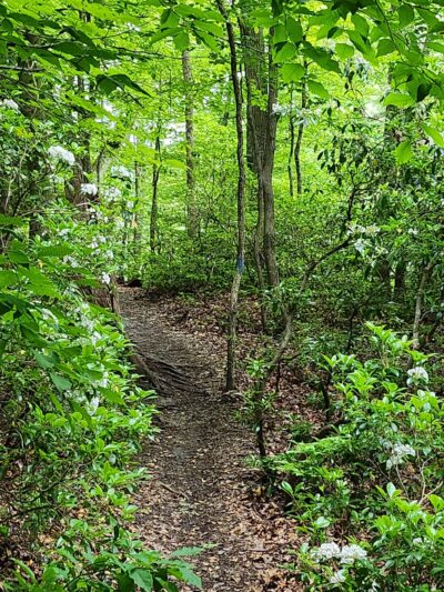 Annapolis Waterworks Trail - Housley Rd Trailhead - Annapolis, MD