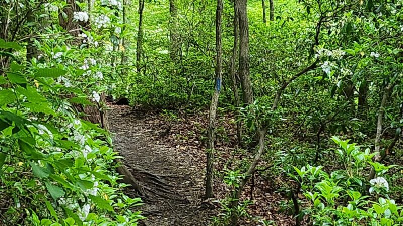Annapolis Waterworks Trail - Housley Rd Trailhead - Annapolis, MD