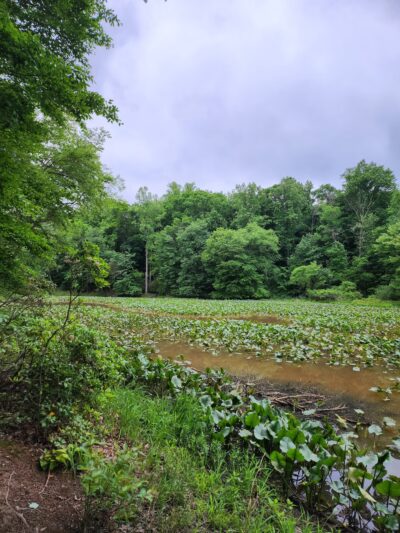 Annapolis Waterworks Trail - Housley Rd Trailhead - Annapolis, MD