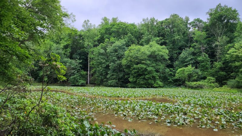 Annapolis Waterworks Trail - Housley Rd Trailhead - Annapolis, MD