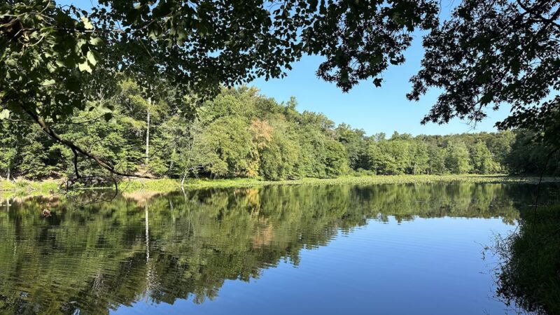 Annapolis Waterworks Trail - Housley Rd Trailhead - Annapolis, MD