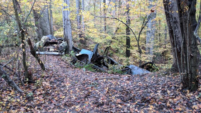 Bacon Ridge Natural Area (Hawkins Trailhead) - Annapolis, MD