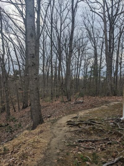Bestgate Park - Annapolis, MD