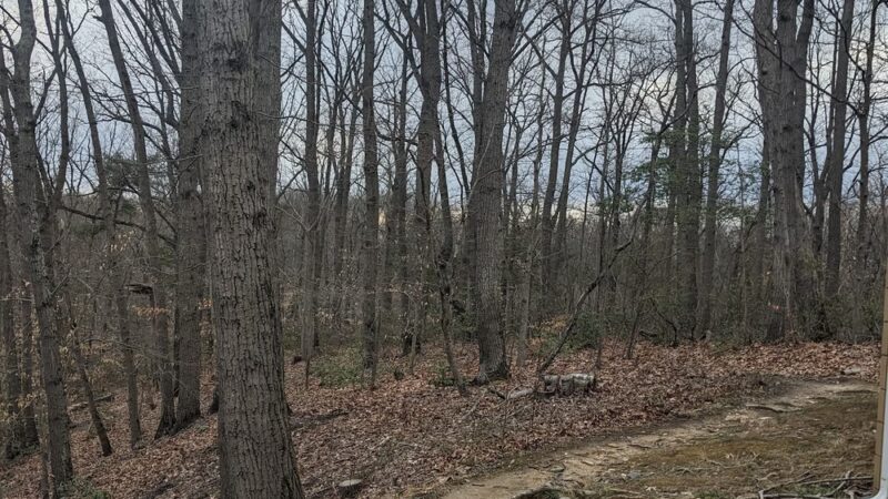 Bestgate Park - Annapolis, MD