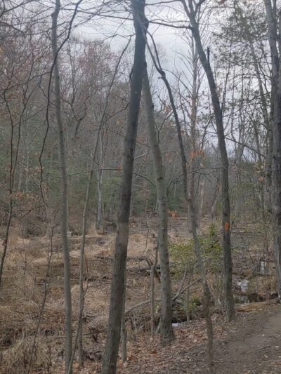 Bestgate Park - Annapolis, MD