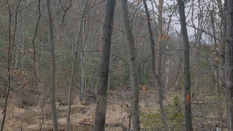 Bestgate Park - Annapolis, MD