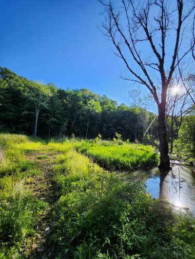 Bestgate Park - Annapolis, MD